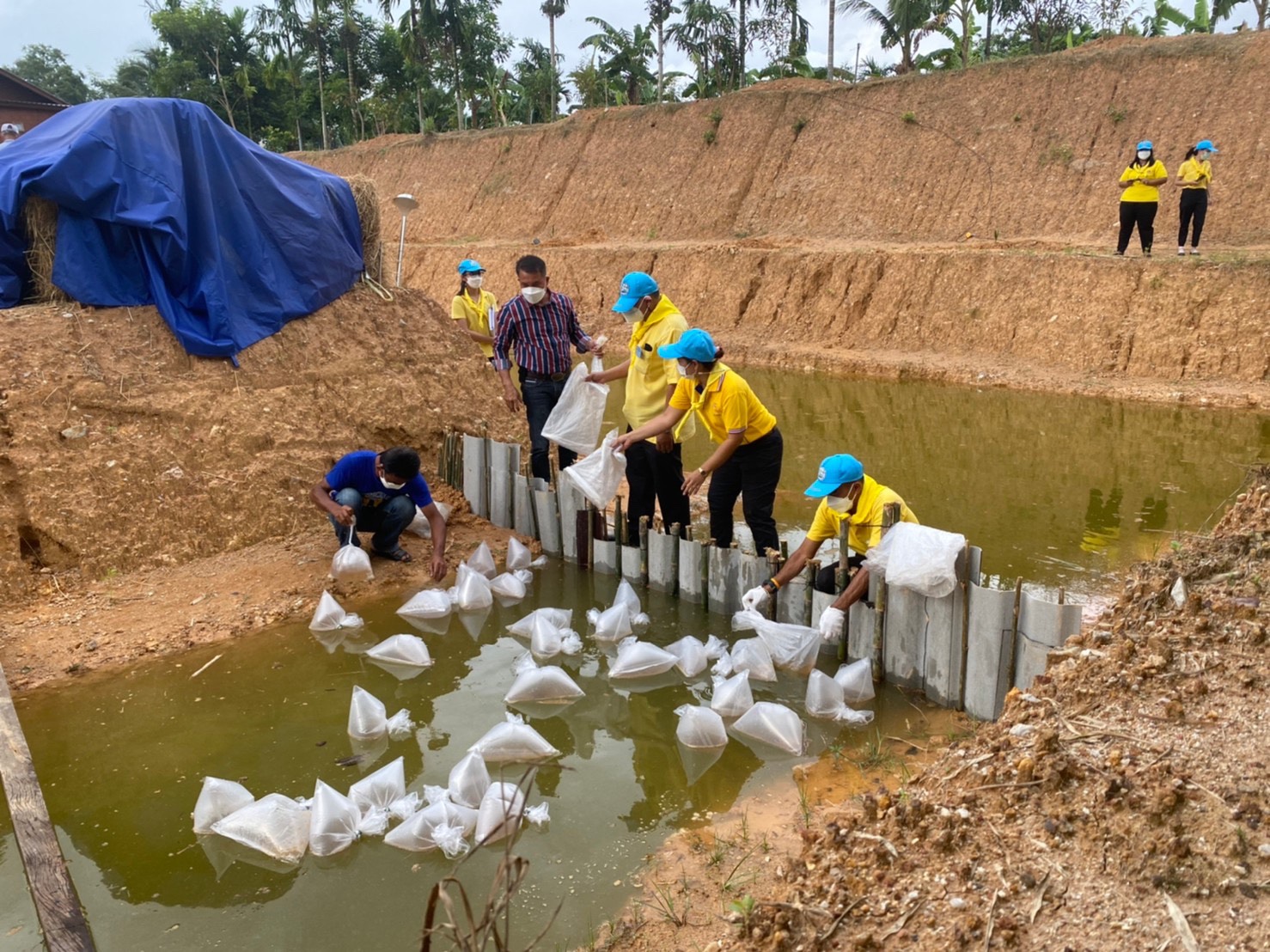 พช.บ้านค่าย จัดกิจกรรมจิตอาสาเอามื้อสามัคคี “โคก หนอง นา”