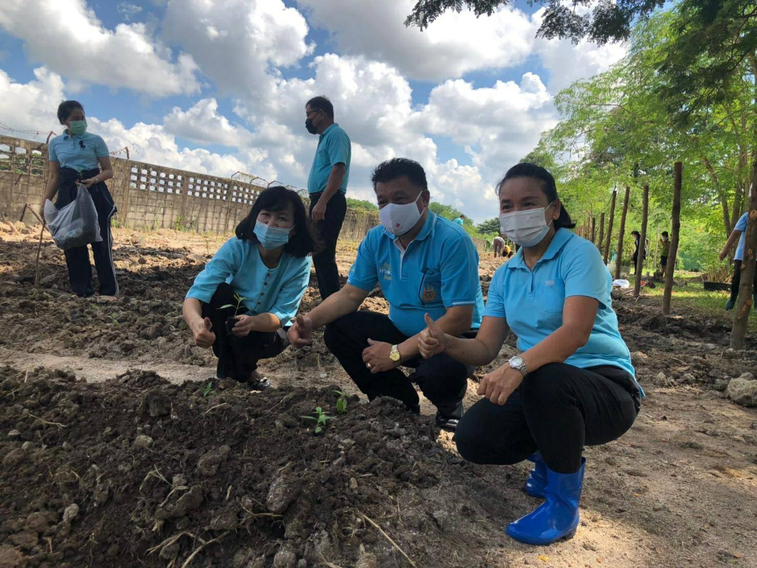 “พช.ระยอง” ร่วมกับ สถานคุ้มครองสวัสดิภาพเด็กระยอง ขับเคลื่อนกิจกรรมปลูกผักสวนครัวและสมุนไพร ผนึกกำลังสร้างความมั่นคงทางอาหาร “ ตู้ยาข้างบ้าน ตู้อาหารข้างครัว”