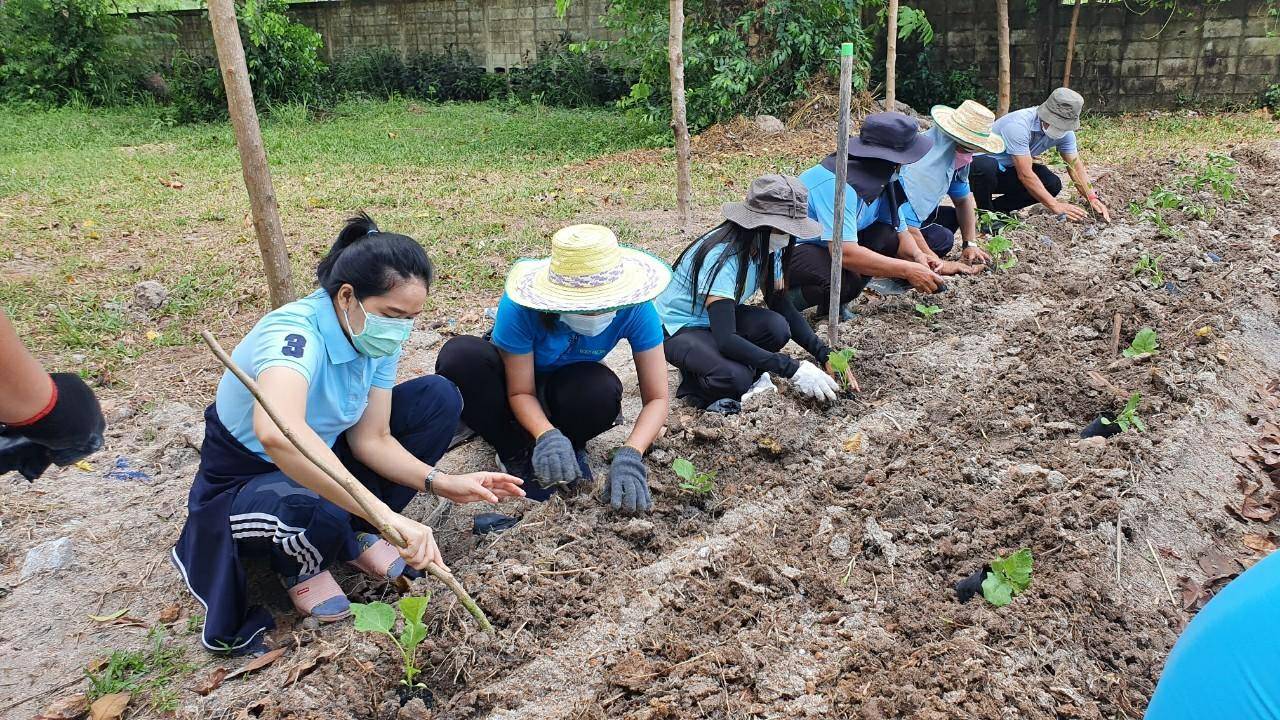 “พช.ระยอง” ร่วมกับ สถานคุ้มครองสวัสดิภาพเด็กระยอง ขับเคลื่อนกิจกรรมปลูกผักสวนครัวและสมุนไพร ผนึกกำลังสร้างความมั่นคงทางอาหาร “ ตู้ยาข้างบ้าน ตู้อาหารข้างครัว”