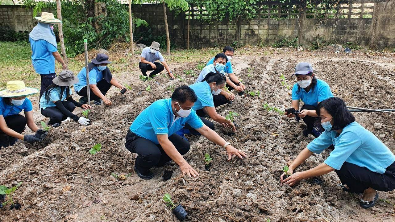 “พช.ระยอง” ร่วมกับ สถานคุ้มครองสวัสดิภาพเด็กระยอง ขับเคลื่อนกิจกรรมปลูกผักสวนครัวและสมุนไพร ผนึกกำลังสร้างความมั่นคงทางอาหาร “ ตู้ยาข้างบ้าน ตู้อาหารข้างครัว”