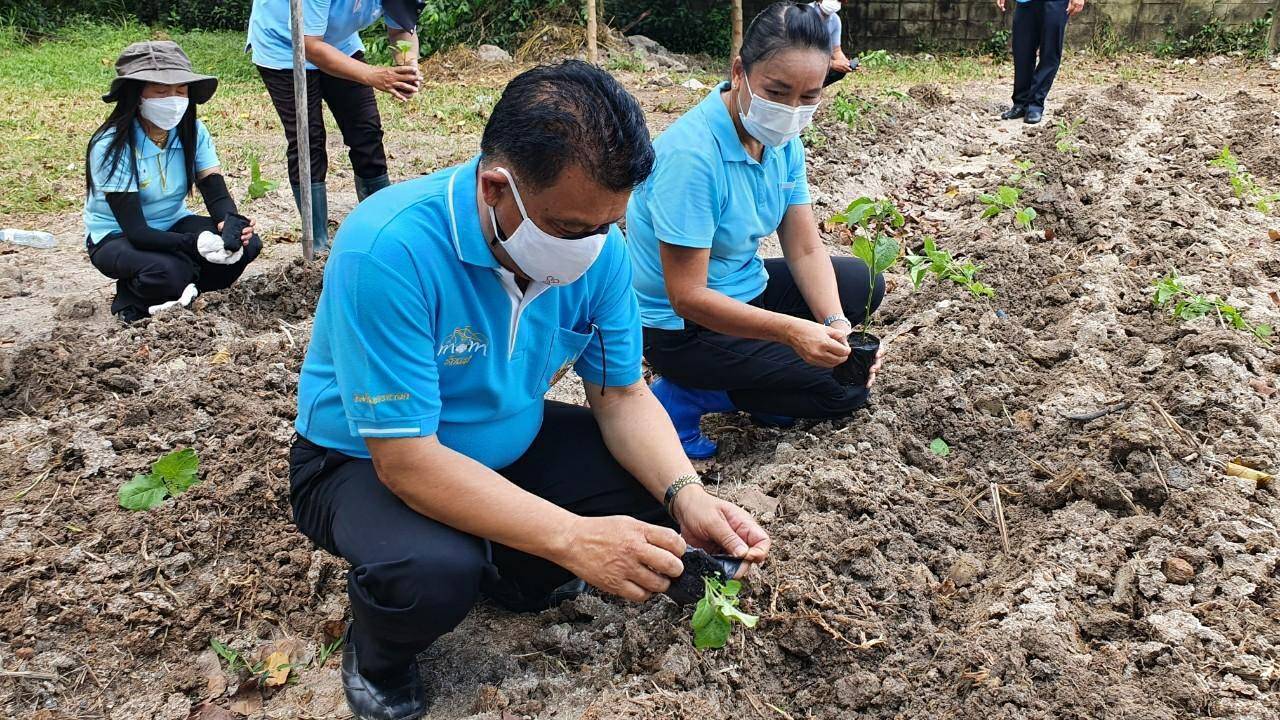 “พช.ระยอง” ร่วมกับ สถานคุ้มครองสวัสดิภาพเด็กระยอง ขับเคลื่อนกิจกรรมปลูกผักสวนครัวและสมุนไพร ผนึกกำลังสร้างความมั่นคงทางอาหาร “ ตู้ยาข้างบ้าน ตู้อาหารข้างครัว”