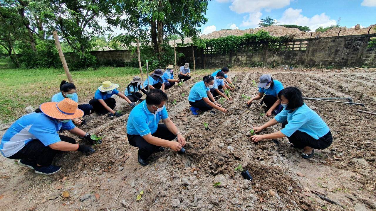 “พช.ระยอง” ร่วมกับ สถานคุ้มครองสวัสดิภาพเด็กระยอง ขับเคลื่อนกิจกรรมปลูกผักสวนครัวและสมุนไพร ผนึกกำลังสร้างความมั่นคงทางอาหาร “ ตู้ยาข้างบ้าน ตู้อาหารข้างครัว”