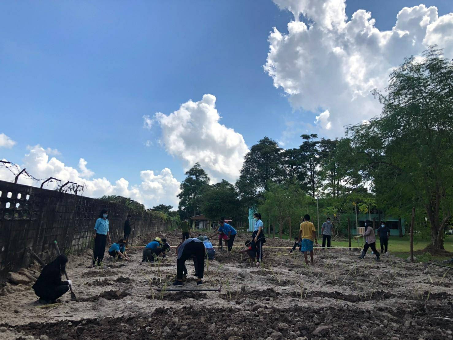 “พช.ระยอง” ร่วมกับ สถานคุ้มครองสวัสดิภาพเด็กระยอง ขับเคลื่อนกิจกรรมปลูกผักสวนครัวและสมุนไพร ผนึกกำลังสร้างความมั่นคงทางอาหาร “ ตู้ยาข้างบ้าน ตู้อาหารข้างครัว”
