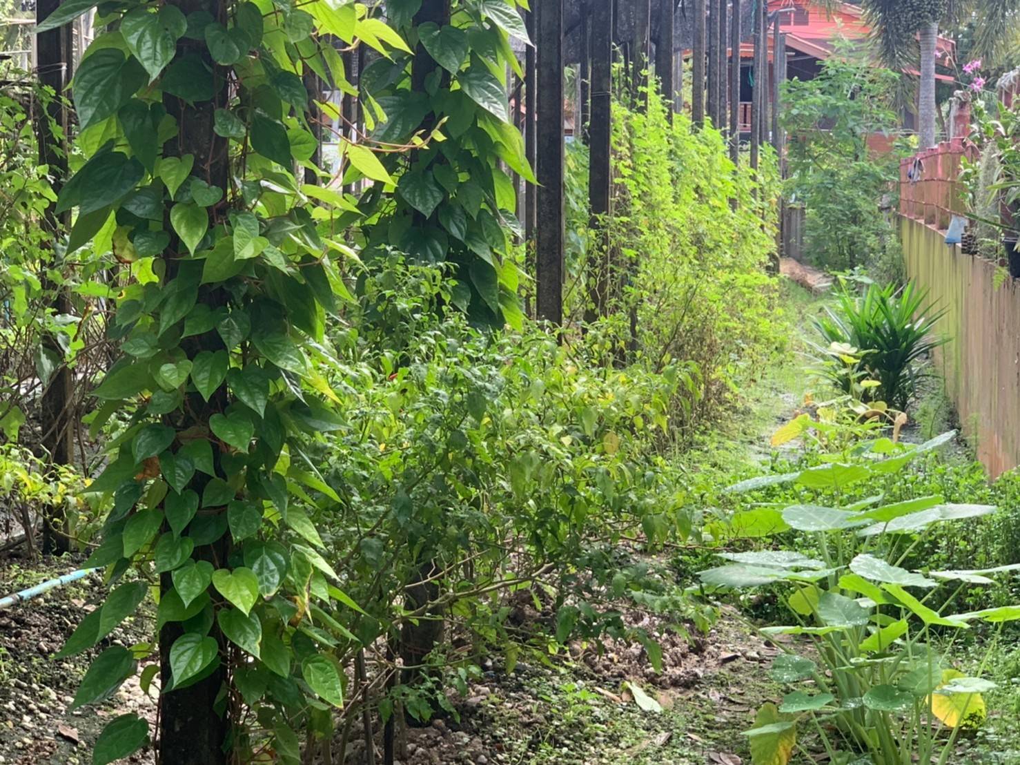 “พช.ระยอง” ร่วมให้กำลังใจและสนับสนุนการดำเนินโครงการสร้างภาพลักษณ์กรมการพัฒนาชุมชนด้วยการประชาสัมพันธ์ผ่านสื่อออนไลน์