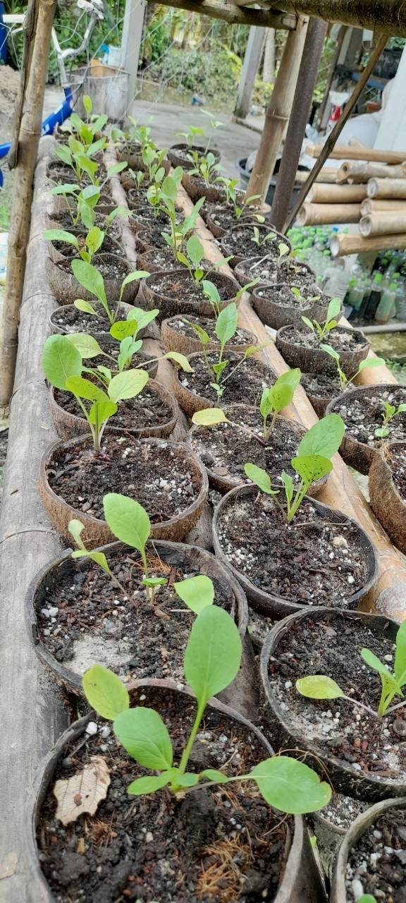 “พช.ระยอง” ร่วมให้กำลังใจและสนับสนุนการดำเนินโครงการสร้างภาพลักษณ์กรมการพัฒนาชุมชนด้วยการประชาสัมพันธ์ผ่านสื่อออนไลน์