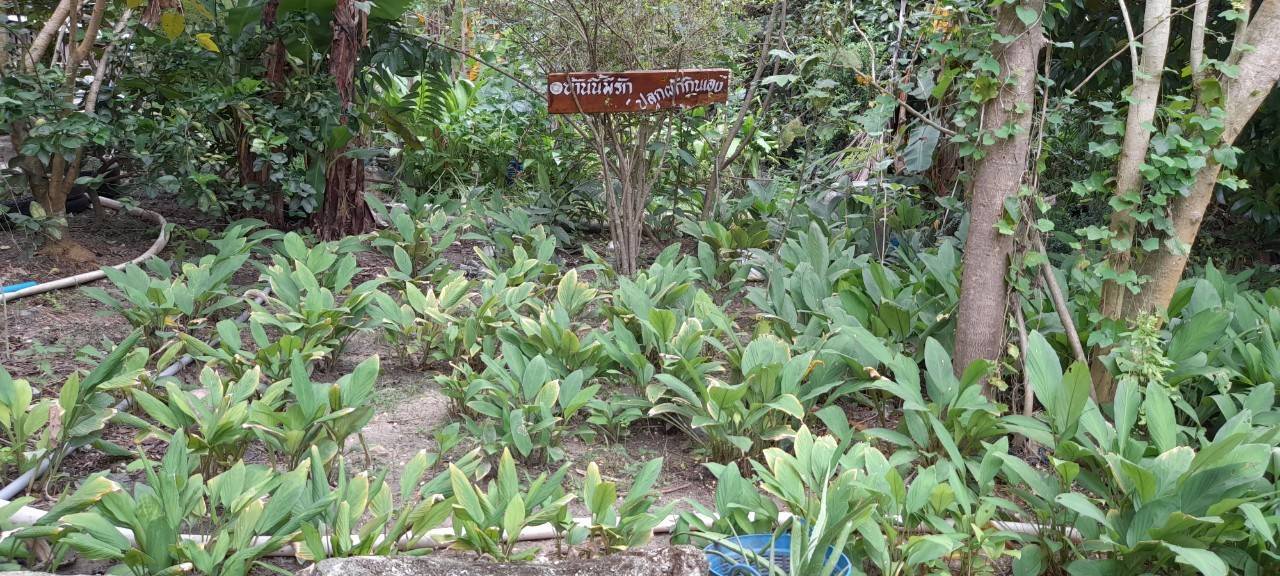 “พช.ระยอง” ร่วมให้กำลังใจและสนับสนุนการดำเนินโครงการสร้างภาพลักษณ์กรมการพัฒนาชุมชนด้วยการประชาสัมพันธ์ผ่านสื่อออนไลน์