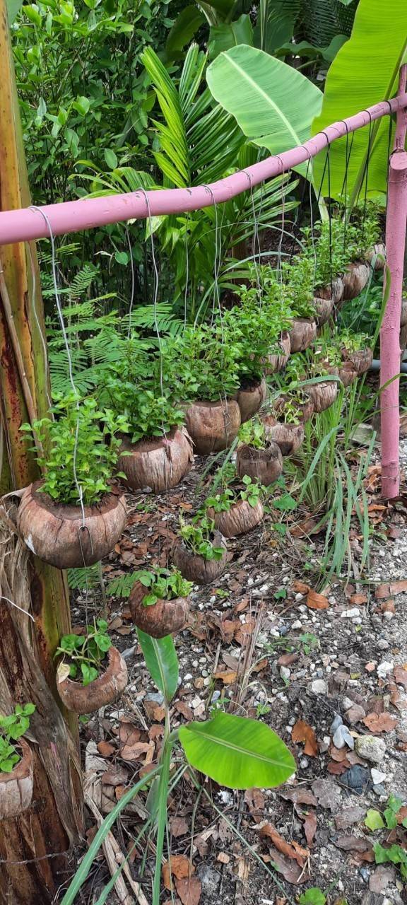 “พช.ระยอง” ร่วมให้กำลังใจและสนับสนุนการดำเนินโครงการสร้างภาพลักษณ์กรมการพัฒนาชุมชนด้วยการประชาสัมพันธ์ผ่านสื่อออนไลน์