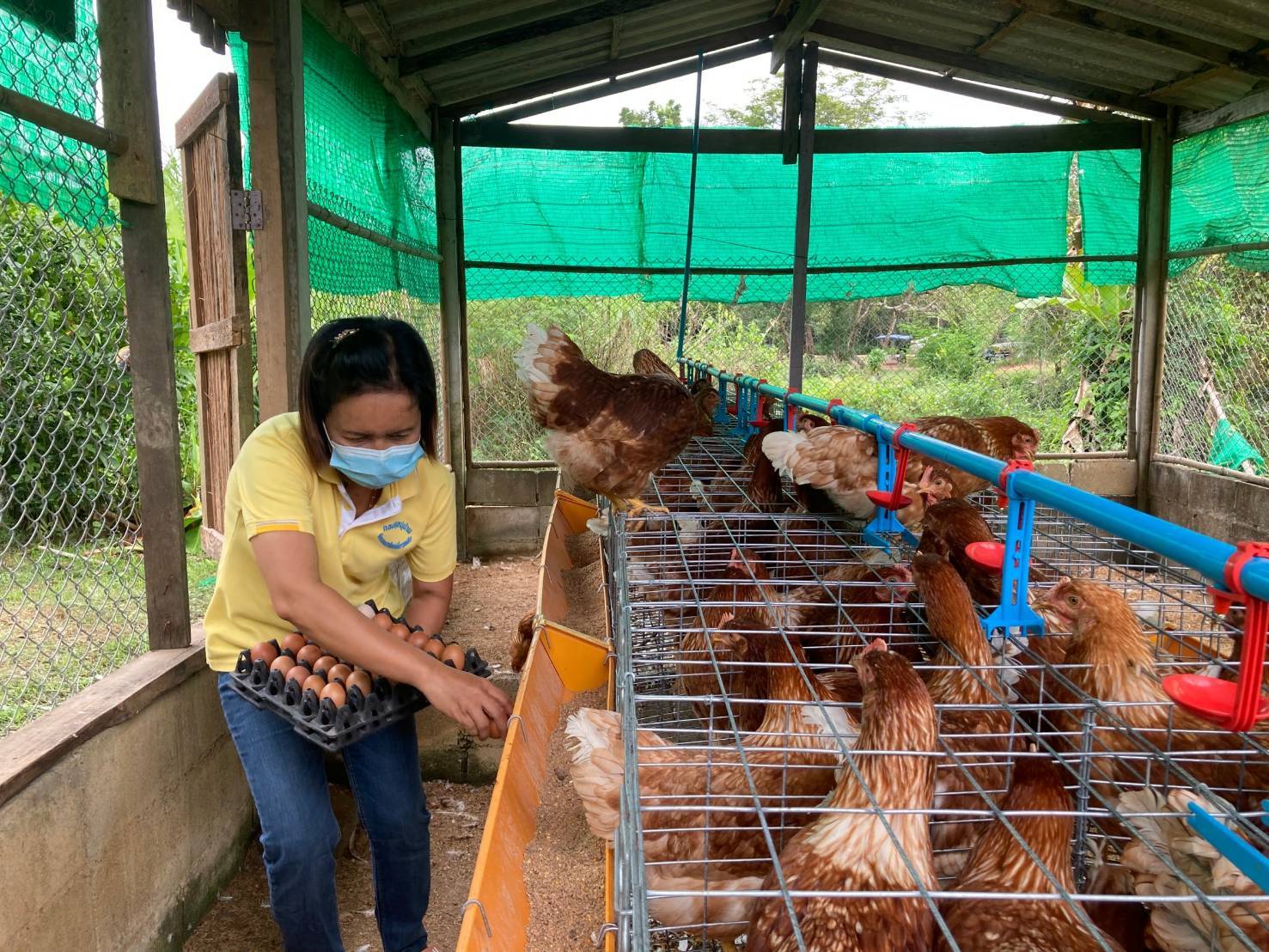 “พช.ระยอง” ร่วมให้กำลังใจและสนับสนุนการดำเนินโครงการสร้างภาพลักษณ์กรมการพัฒนาชุมชนด้วยการประชาสัมพันธ์ผ่านสื่อออนไลน์