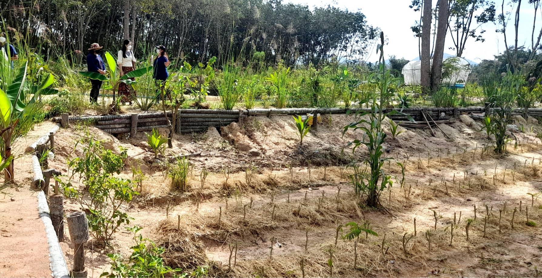 “พช.ระยอง” สนับสนุนการดำเนินโครงการสร้างภาพลักษณ์กรมการพัฒนาชุมชนด้วยการประชาสัมพันธ์ผ่านสื่อออนไลน์