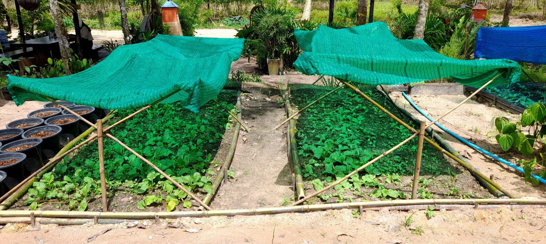 “พช.ระยอง” สนับสนุนการดำเนินโครงการสร้างภาพลักษณ์กรมการพัฒนาชุมชนด้วยการประชาสัมพันธ์ผ่านสื่อออนไลน์