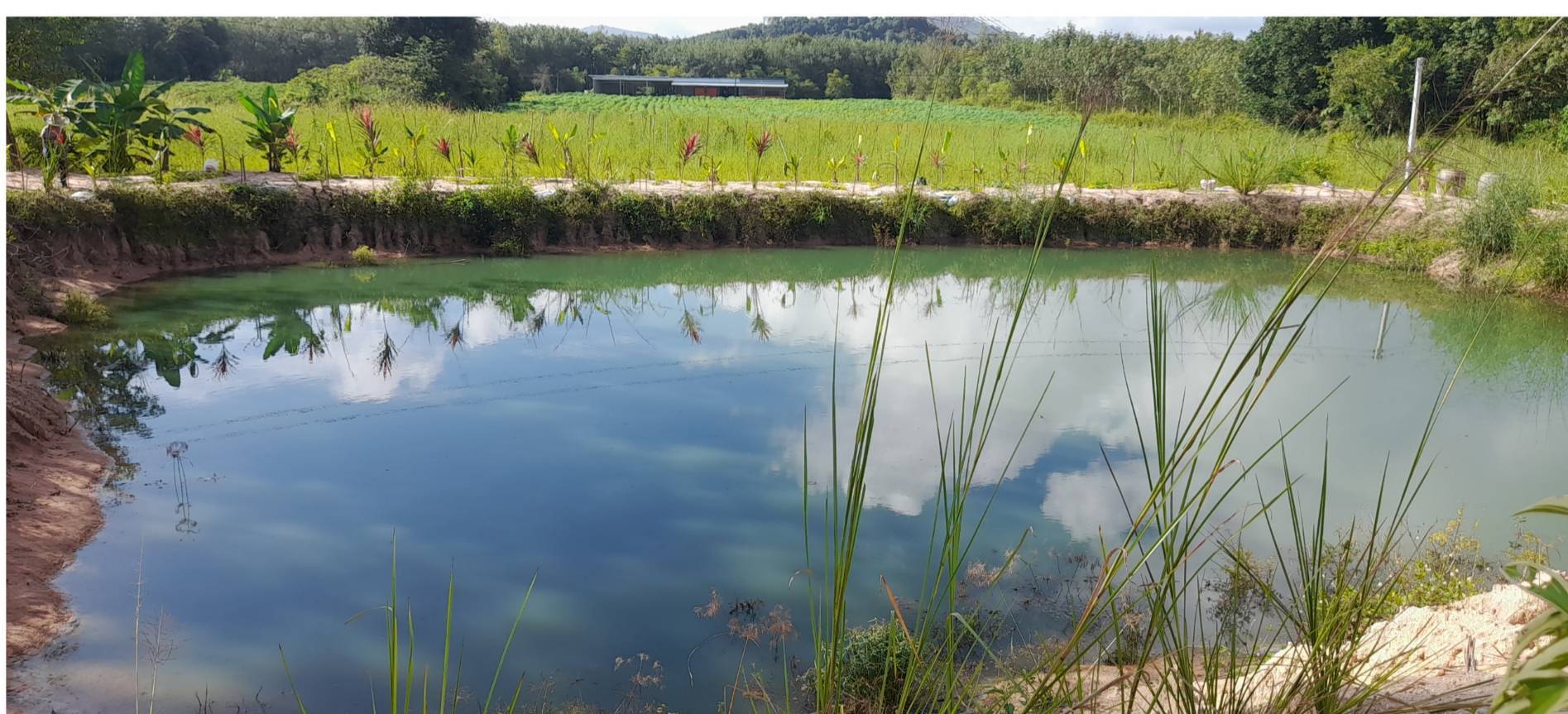 “พช.ระยอง” สนับสนุนการดำเนินโครงการสร้างภาพลักษณ์กรมการพัฒนาชุมชนด้วยการประชาสัมพันธ์ผ่านสื่อออนไลน์