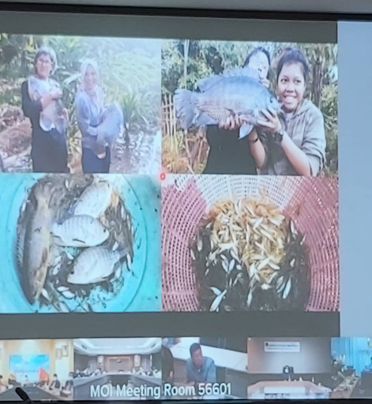 “พช.ระยอง”  ร่วมประชุมเพื่อสร้างการรับรู้และชี้แจงการขับเคลื่อนแนวทางเขตพัฒนาเศรษฐกิจพอเพียง (SEDZ) ด้วยโมเดลเศรษฐกิจใหม่ (BCG Model) ผ่านระบบวีดิทัศน์ทางไกล (VCS)