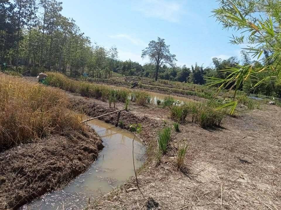 “พช. ระยอง” ขับเคลื่อนการดำเนินงานโครงการพัฒนาพื้นที่ต้นแบบการพัฒนาคุณภาพชีวิต ตามหลักทฤษฎีใหม่ประยุกต์สู่โคก หนอง นา โมเดล
