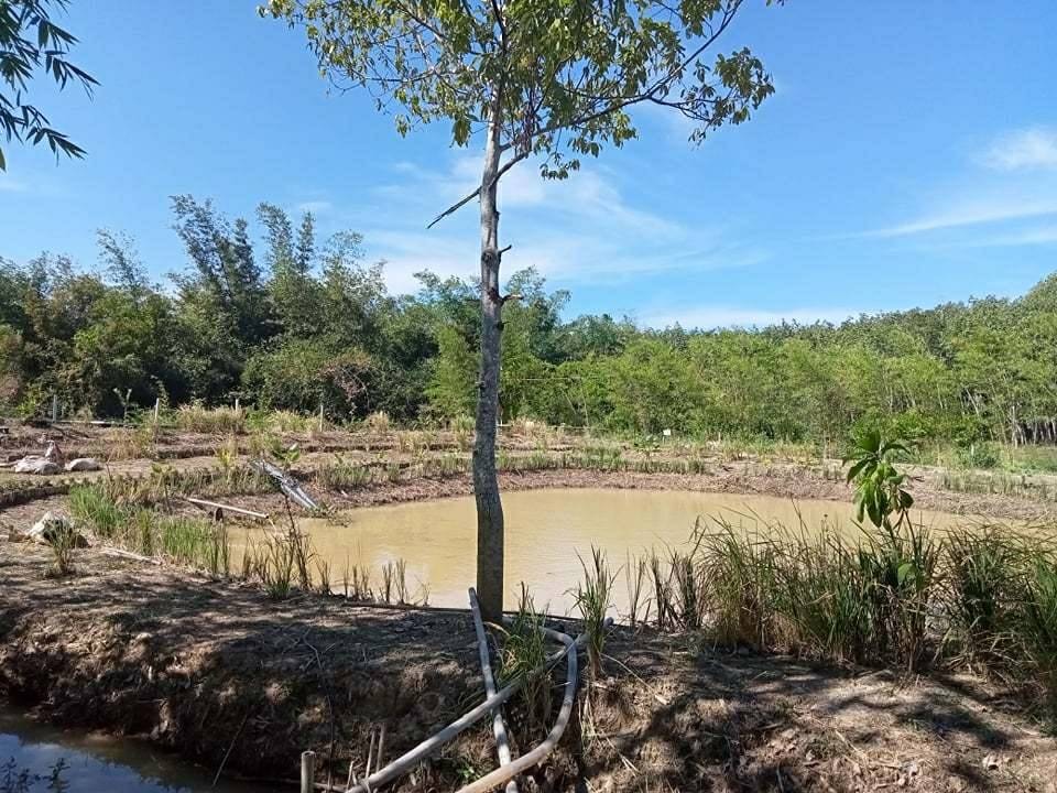 “พช. ระยอง” ขับเคลื่อนการดำเนินงานโครงการพัฒนาพื้นที่ต้นแบบการพัฒนาคุณภาพชีวิต ตามหลักทฤษฎีใหม่ประยุกต์สู่โคก หนอง นา โมเดล