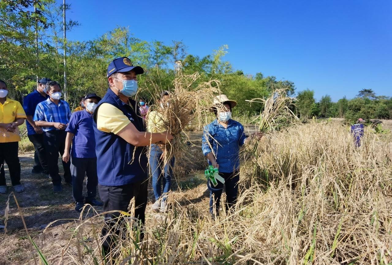“พช. ระยอง” ขับเคลื่อนการดำเนินงานโครงการพัฒนาพื้นที่ต้นแบบการพัฒนาคุณภาพชีวิต ตามหลักทฤษฎีใหม่ประยุกต์สู่โคก หนอง นา โมเดล