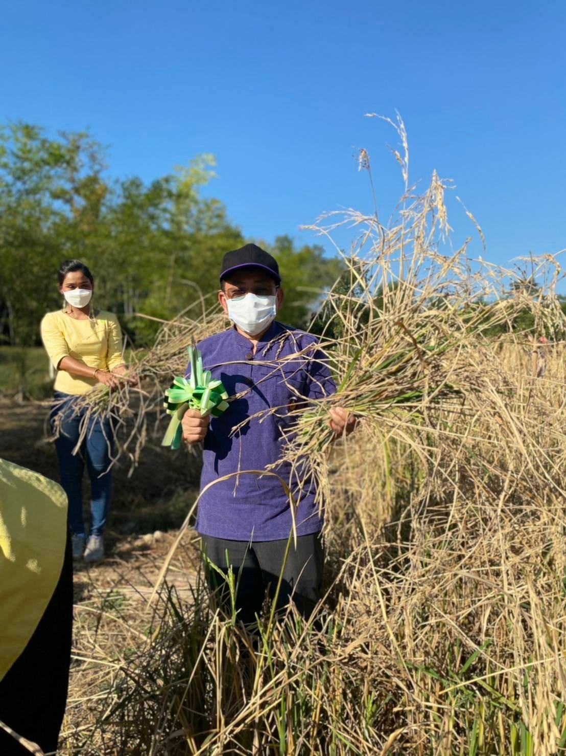 “พช. ระยอง” ขับเคลื่อนการดำเนินงานโครงการพัฒนาพื้นที่ต้นแบบการพัฒนาคุณภาพชีวิต ตามหลักทฤษฎีใหม่ประยุกต์สู่โคก หนอง นา โมเดล