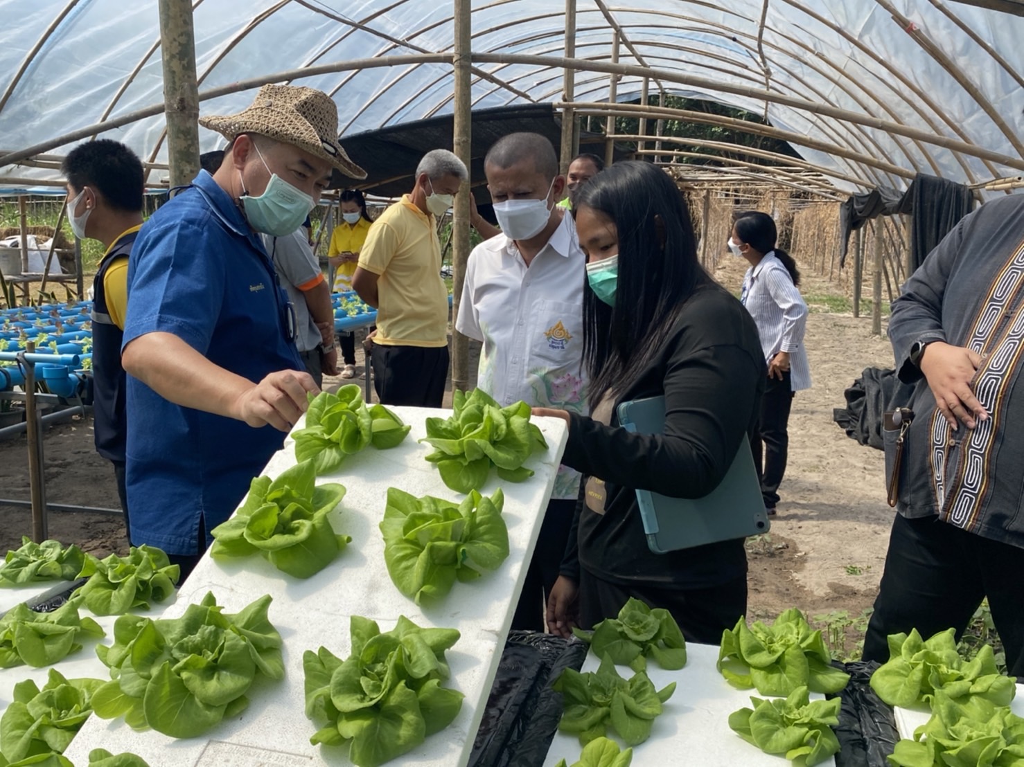 “พช. ระยอง” ขับเคลื่อนการดำเนินงานโดยการพัฒนาพื้นที่ต้นแบบการพัฒนาคุณภาพชีวิต ตามหลักทฤษฎีใหม่ประยุกต์สู่โคก หนอง นา โมเดล