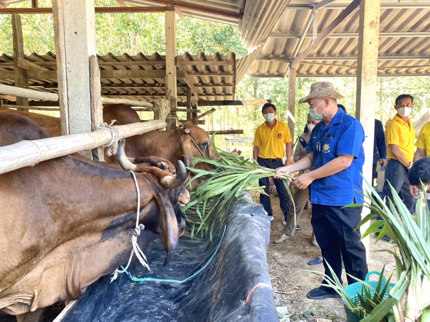 “พช. ระยอง” ขับเคลื่อนการดำเนินงานโดยการพัฒนาพื้นที่ต้นแบบการพัฒนาคุณภาพชีวิต ตามหลักทฤษฎีใหม่ประยุกต์สู่โคก หนอง นา โมเดล