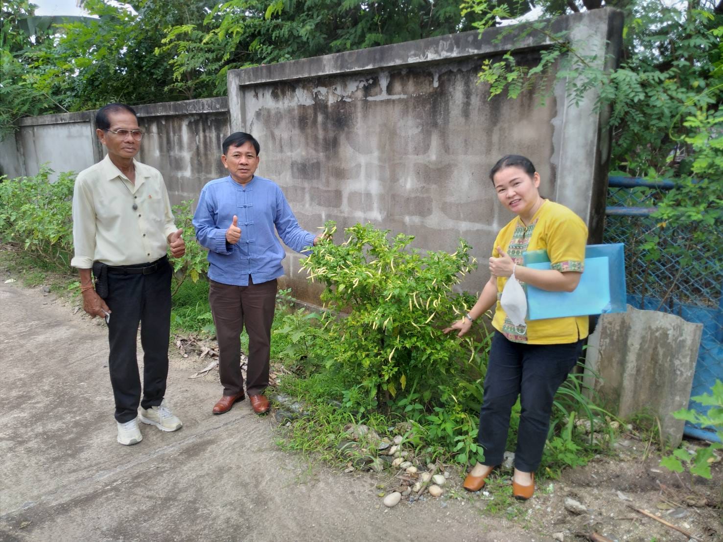 พช.ระยอง : คัดเลือกพื้นที่ดำเนินการดีเด่น โครงการ “หนึ่งพัฒนากร หนึ่งถนนกินได้ ขยายผลปลูกผักปลอดภัยไร้สารพิษ” จังหวัดระยอง ประจำปี 2565 ??