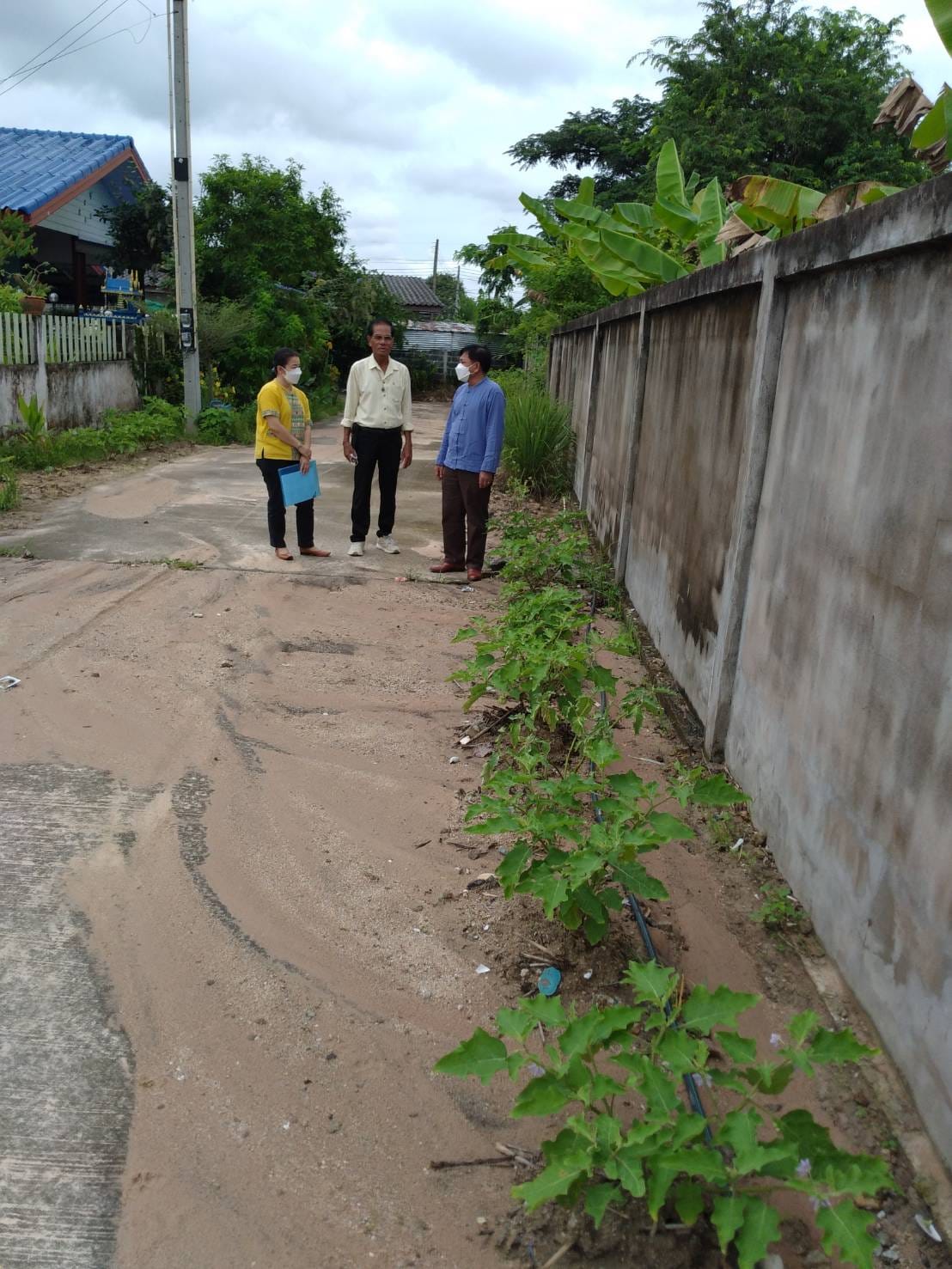 พช.ระยอง : คัดเลือกพื้นที่ดำเนินการดีเด่น โครงการ “หนึ่งพัฒนากร หนึ่งถนนกินได้ ขยายผลปลูกผักปลอดภัยไร้สารพิษ” จังหวัดระยอง ประจำปี 2565 ??