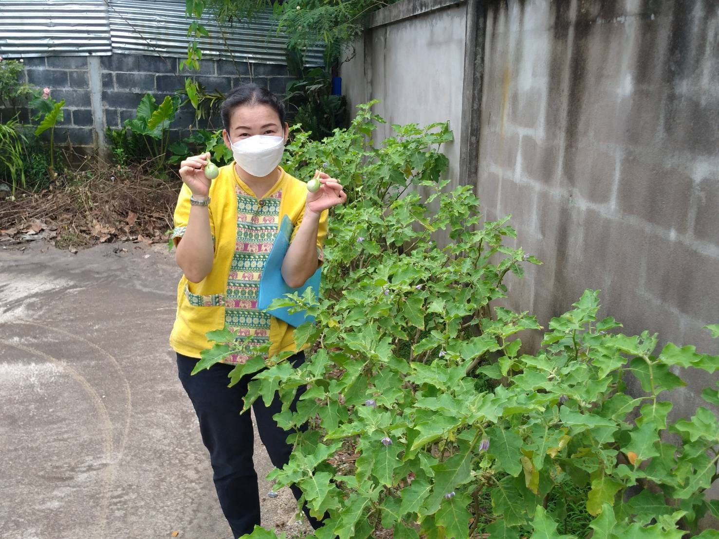 พช.ระยอง : คัดเลือกพื้นที่ดำเนินการดีเด่น โครงการ “หนึ่งพัฒนากร หนึ่งถนนกินได้ ขยายผลปลูกผักปลอดภัยไร้สารพิษ” จังหวัดระยอง ประจำปี 2565 ??