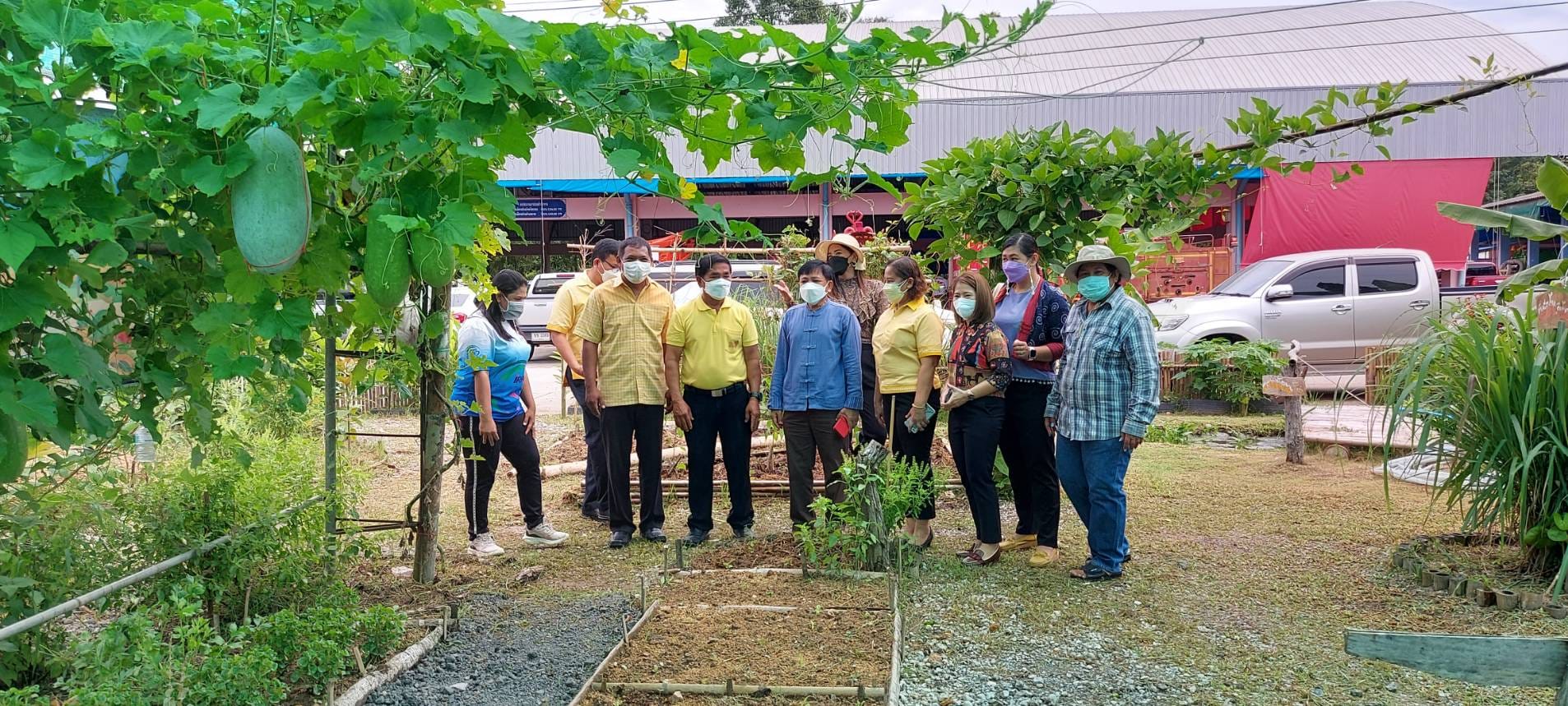 พช.ระยอง : คัดเลือกพื้นที่ดำเนินการดีเด่น โครงการ “หนึ่งพัฒนากร หนึ่งถนนกินได้ ขยายผลปลูกผักปลอดภัยไร้สารพิษ” จังหวัดระยอง ประจำปี 2565 ??