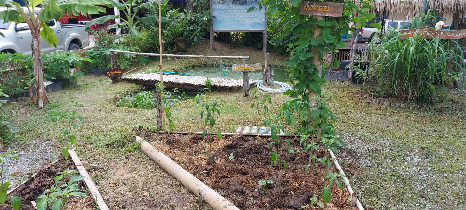 พช.ระยอง : คัดเลือกพื้นที่ดำเนินการดีเด่น โครงการ “หนึ่งพัฒนากร หนึ่งถนนกินได้ ขยายผลปลูกผักปลอดภัยไร้สารพิษ” จังหวัดระยอง ประจำปี 2565 ??