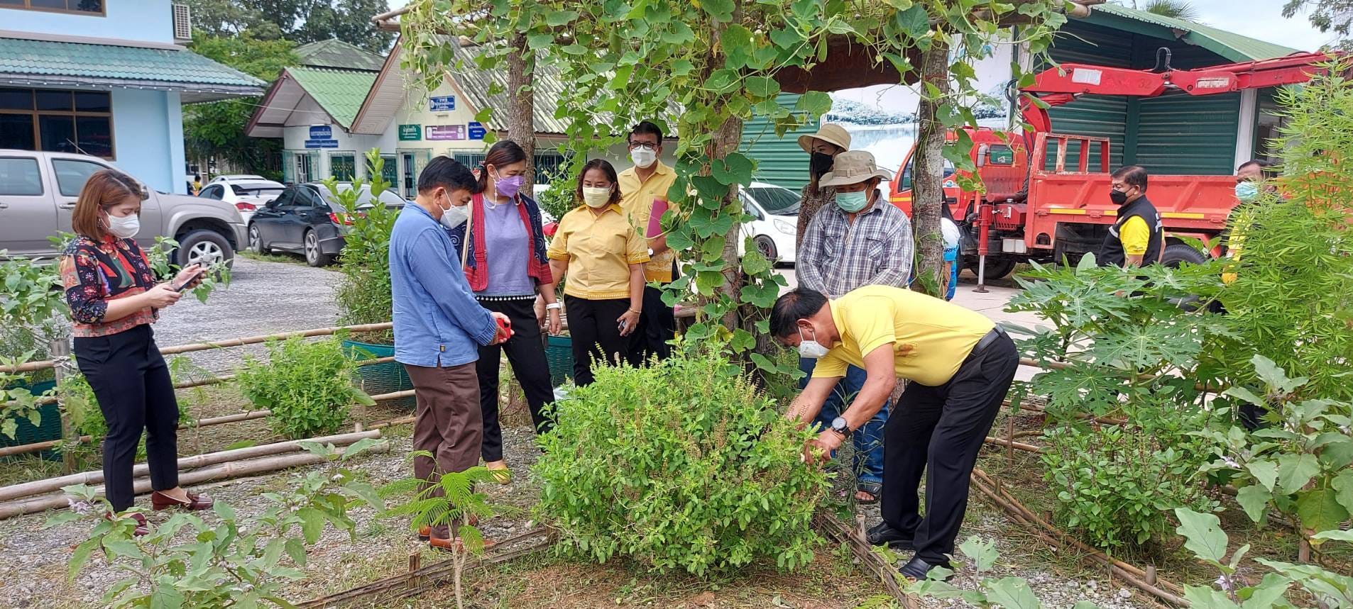 พช.ระยอง : คัดเลือกพื้นที่ดำเนินการดีเด่น โครงการ “หนึ่งพัฒนากร หนึ่งถนนกินได้ ขยายผลปลูกผักปลอดภัยไร้สารพิษ” จังหวัดระยอง ประจำปี 2565 ??