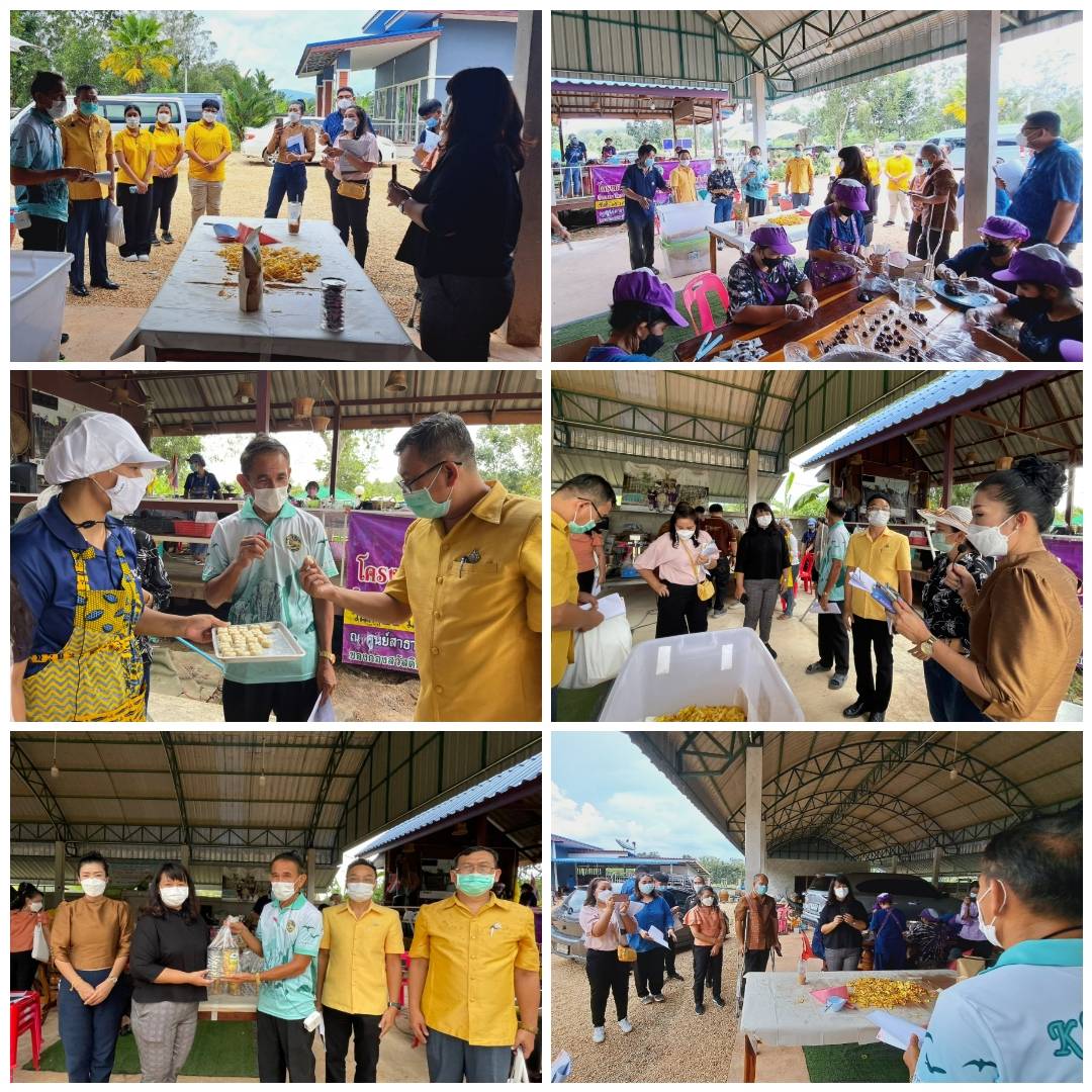 กรมการพัฒนาชุมชน  โดยกองแผนงาน ร่วมกับมหาวิทยาลัยราชภัฏพิบูลสงคราม ลงพื้นที่ประเมินผลการดำเนินงานตามนโยบายและแผนปฏิบัติราชการระยะ 3 ปี (พ.ศ 2563 – 2565)