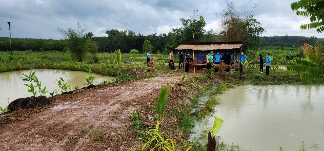 “พช. ระยอง”  ติดตามผลสำเร็จของศูนย์เรียนรู้ โคก หนอง นา ปี 65?