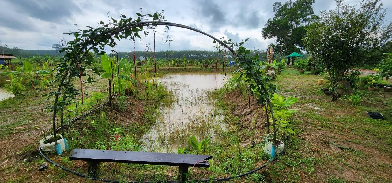 “พช. ระยอง”  ติดตามผลสำเร็จของศูนย์เรียนรู้ โคก หนอง นา ปี 65?