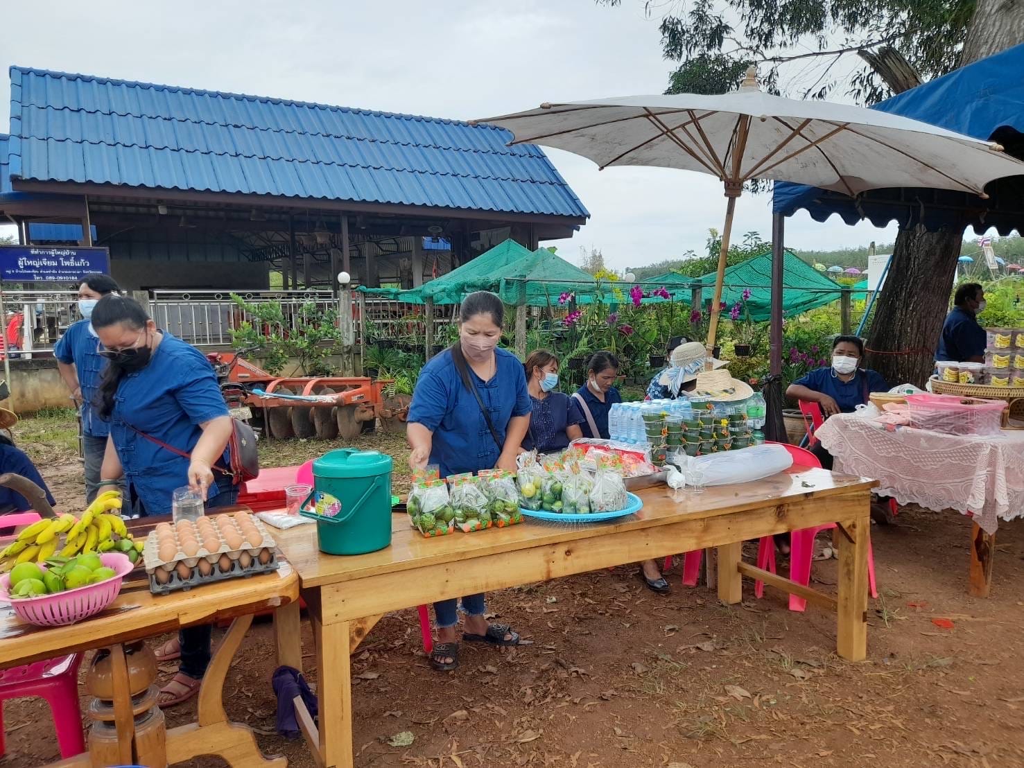 พช.ระยอง ร่วมกับ พช.เขาชะเมา จัดงานรวมพลคนโคก หนอง นา เอามื้อสามัคคี จังหวัดระยอง