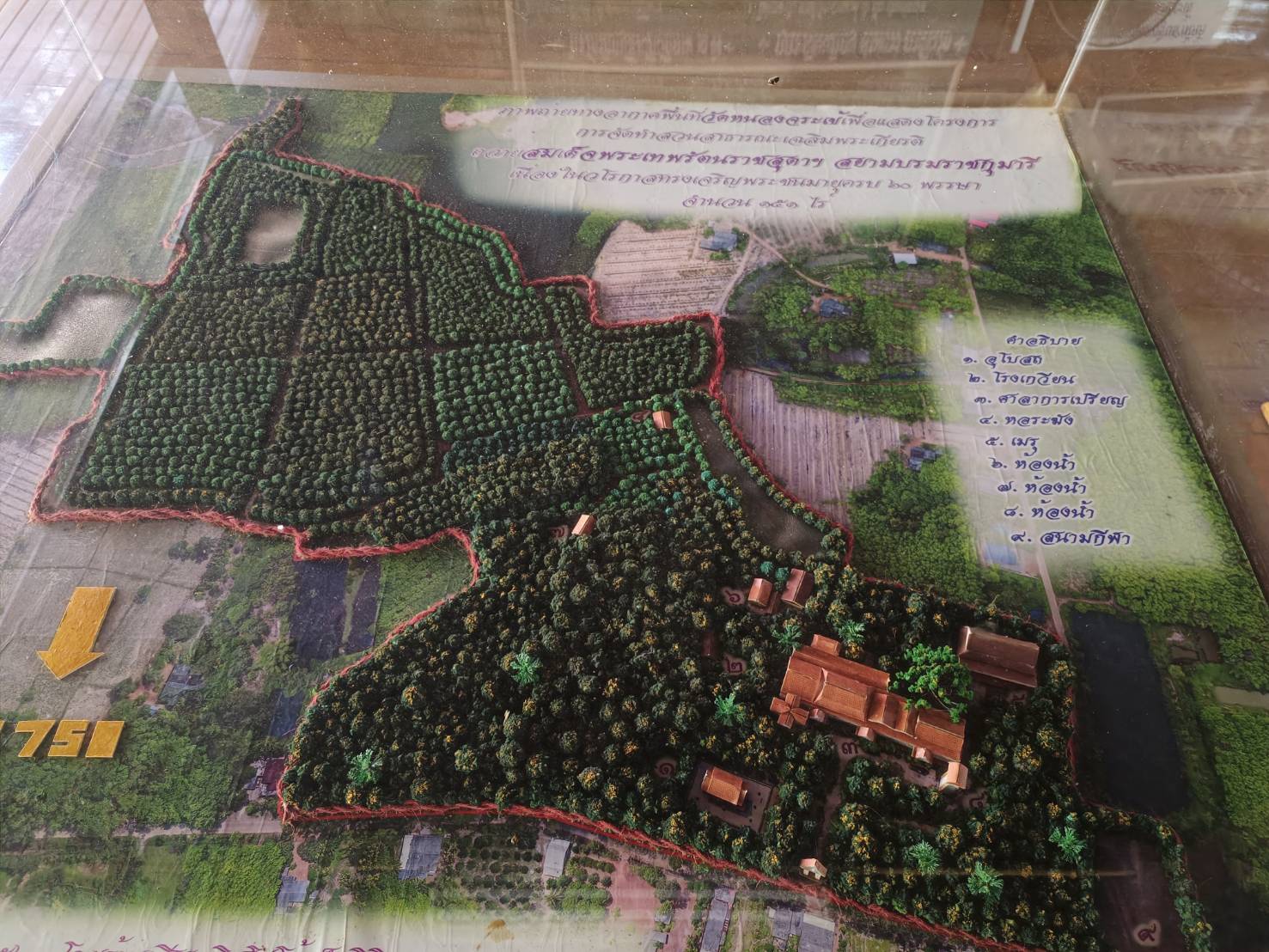 ?ป่าชุมชน สู่ คาร์บอนเครดิต??