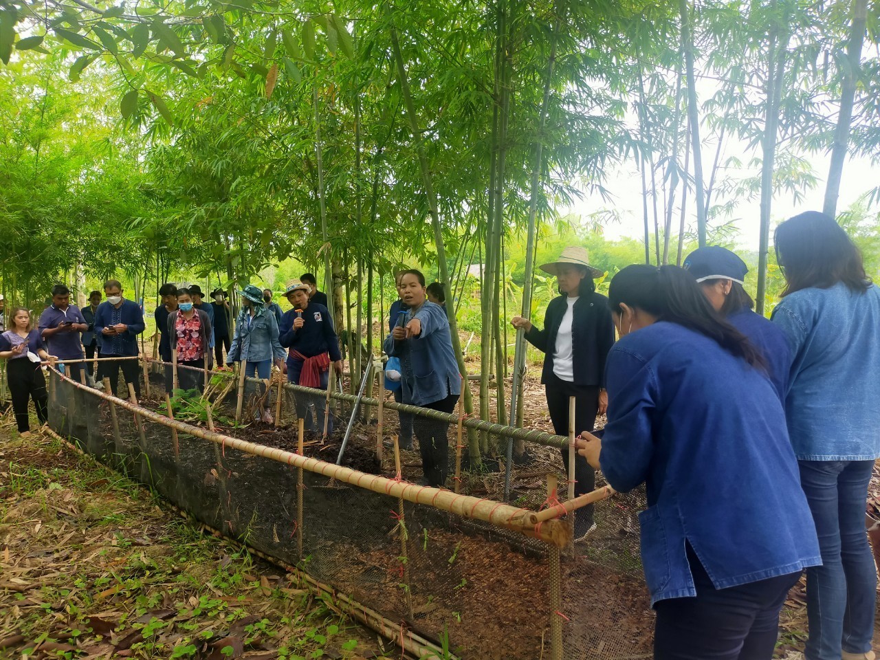 ? พช.ระยอง ขับเคลื่อนกิจกรรม “รวมพลคน โคก หนอง นา เอามื้อสามัคคี” จังหวัดระยอง ครั้งที่ 3/2566?