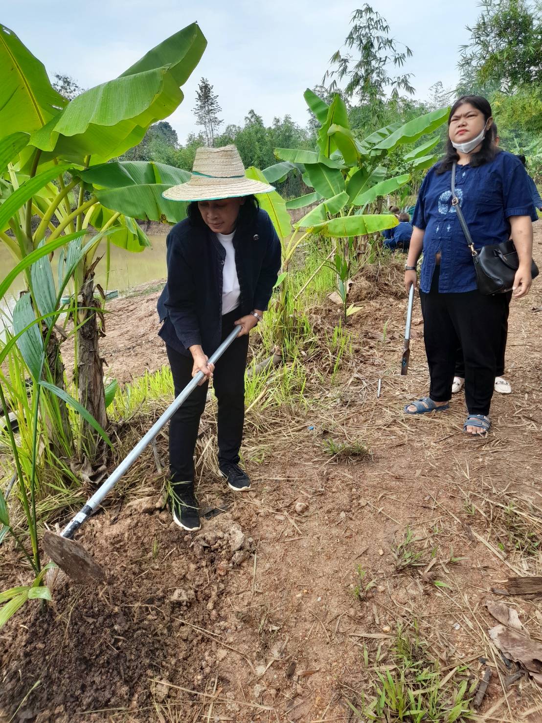 ? พช.ระยอง ขับเคลื่อนกิจกรรม “รวมพลคน โคก หนอง นา เอามื้อสามัคคี” จังหวัดระยอง ครั้งที่ 3/2566?