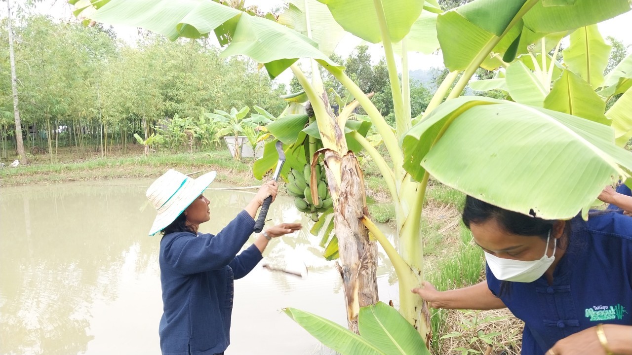 ? พช.ระยอง ขับเคลื่อนกิจกรรม “รวมพลคน โคก หนอง นา เอามื้อสามัคคี” จังหวัดระยอง ครั้งที่ 3/2566?