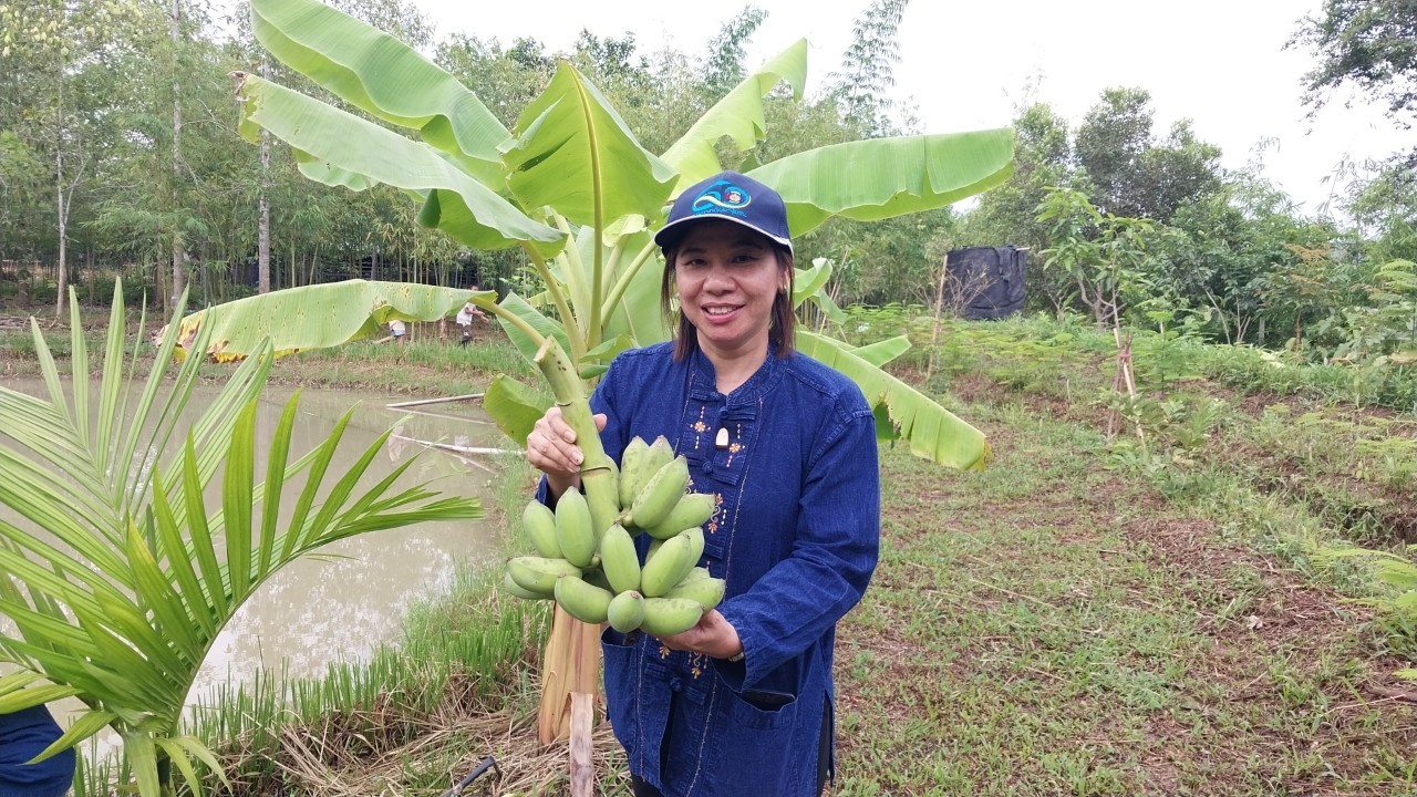 ? พช.ระยอง ขับเคลื่อนกิจกรรม “รวมพลคน โคก หนอง นา เอามื้อสามัคคี” จังหวัดระยอง ครั้งที่ 3/2566?