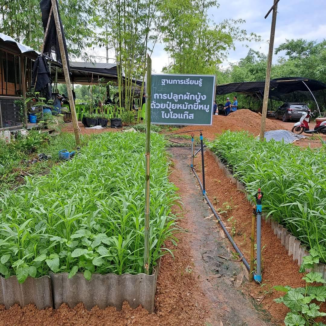 ? พช.ระยอง ขับเคลื่อนกิจกรรม “รวมพลคน โคก หนอง นา เอามื้อสามัคคี” จังหวัดระยอง ครั้งที่ 3/2566?