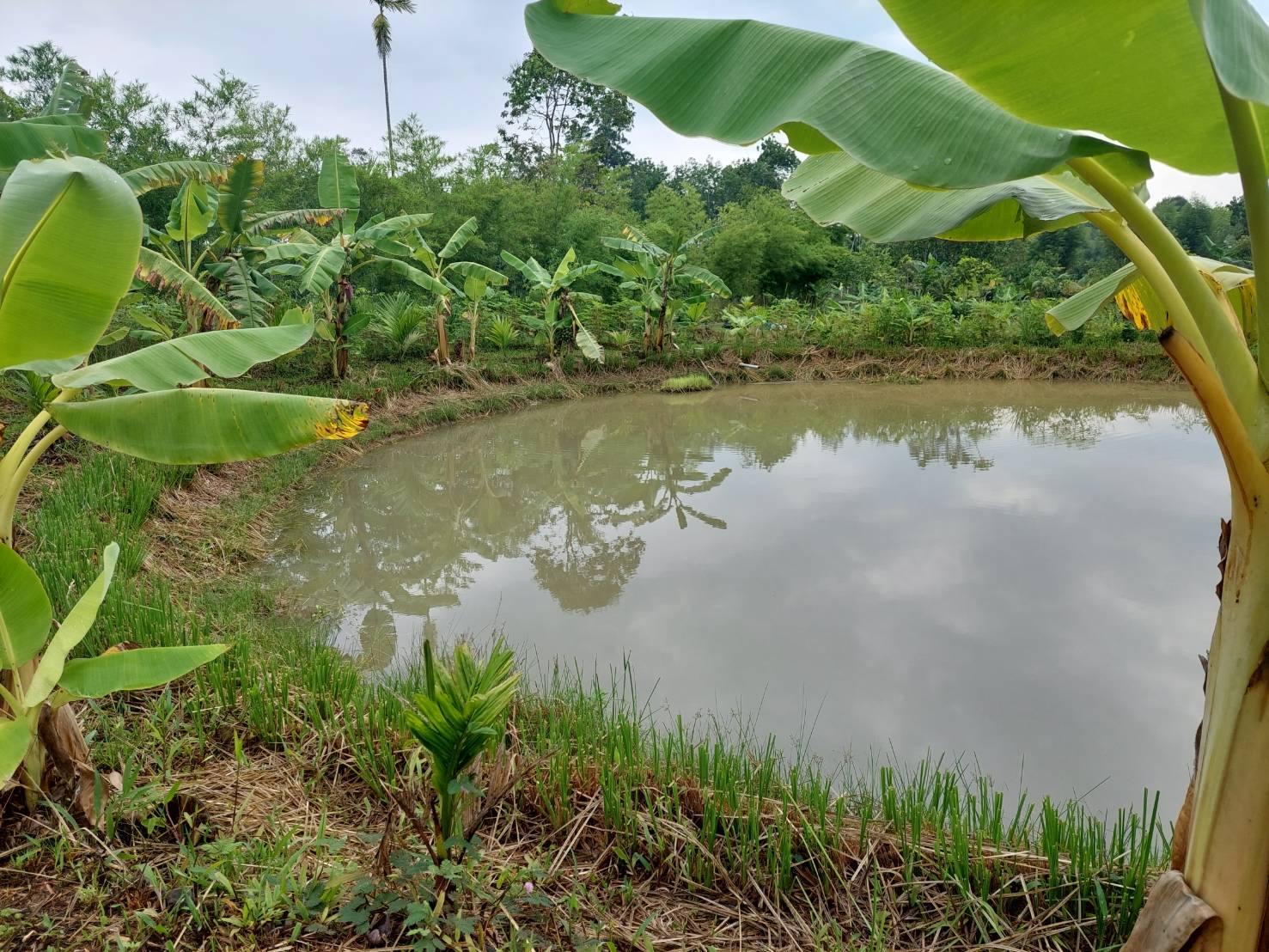 ? พช.ระยอง ขับเคลื่อนกิจกรรม “รวมพลคน โคก หนอง นา เอามื้อสามัคคี” จังหวัดระยอง ครั้งที่ 3/2566?