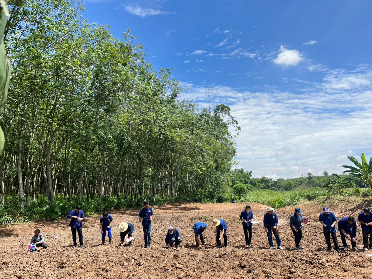 ?? พช.ระยอง ขับเคลื่อนกิจกรรม “รวมพลคน โคก หนอง นา เอามื้อสามัคคี” จังหวัดระยอง ครั้งที่ 4/2566?