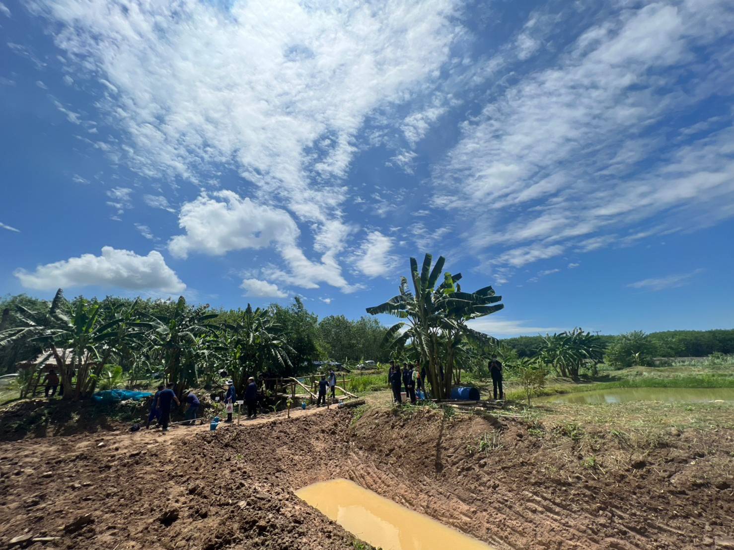 ?? พช.ระยอง ขับเคลื่อนกิจกรรม “รวมพลคน โคก หนอง นา เอามื้อสามัคคี” จังหวัดระยอง ครั้งที่ 4/2566?