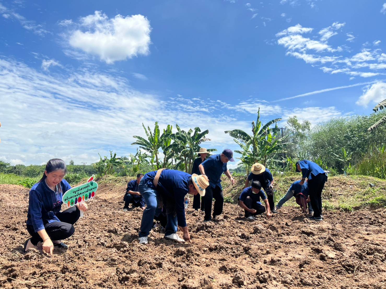 ?? พช.ระยอง ขับเคลื่อนกิจกรรม “รวมพลคน โคก หนอง นา เอามื้อสามัคคี” จังหวัดระยอง ครั้งที่ 4/2566?