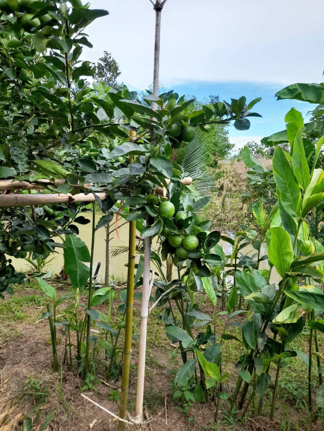 ??พช.ระยองออกประเมินคัดสรรกิจกรรมพัฒนาชุมชนดีเด่นระดับจังหวัด ประจำปี 2566(อ.แกลง)