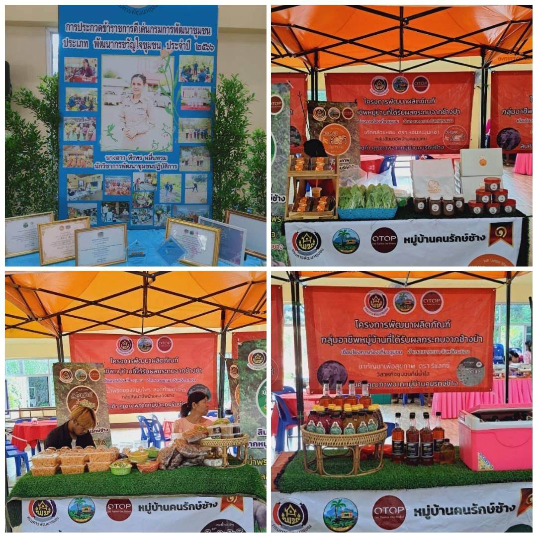 ??พช.ระยอง เข้าร่วมการคัดเลือกข้าราชการ ลูกจ้างประจำ และพนักงานราชการดีเด่น กรมการพัฒนาชุมชน ประจำปี พ.ศ. 2566