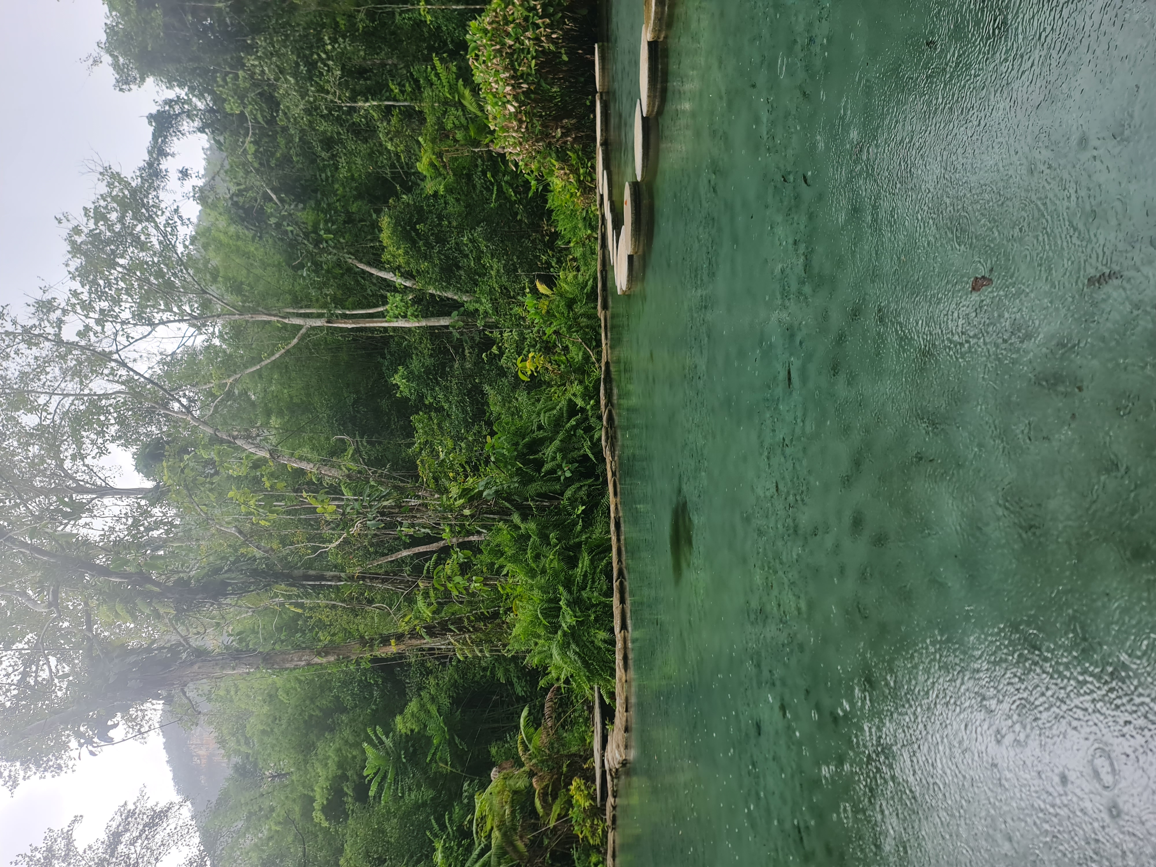 พช.ระยอง ร่วมกับ กองทุนไฟฟ้าเขตนิคมอุตสาหกรรมมาบตาพุด จัดกิจกรรมโครงการศึกษาดูงานรักษ์ป่าชุมชนบ้านทุ่งสูง กระบี่ ชุมชนบ้านเนินสำเหร่ 