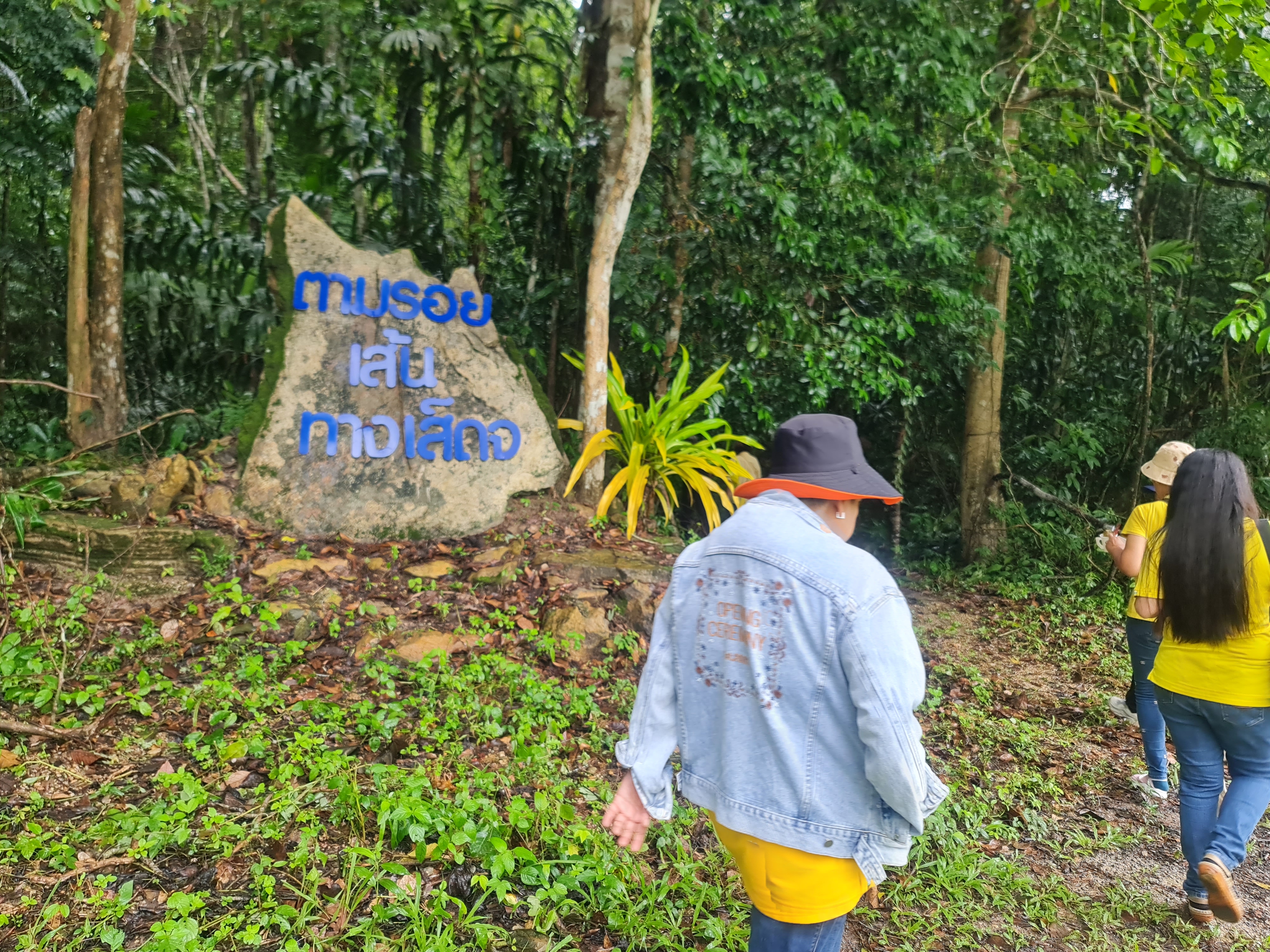 พช.ระยอง ร่วมกับ กองทุนไฟฟ้าเขตนิคมอุตสาหกรรมมาบตาพุด จัดกิจกรรมโครงการศึกษาดูงานรักษ์ป่าชุมชนบ้านทุ่งสูง กระบี่ ชุมชนบ้านเนินสำเหร่ 