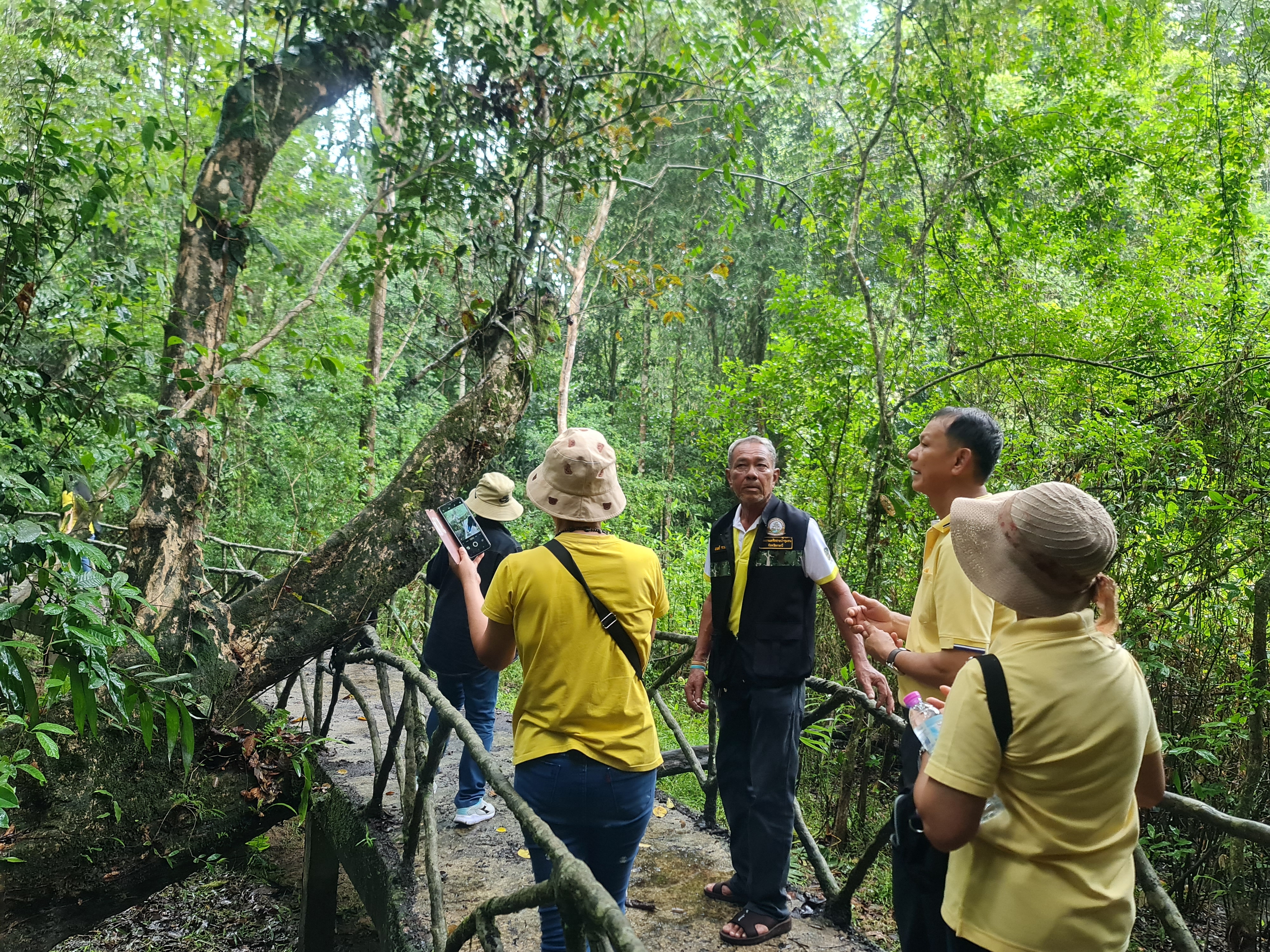พช.ระยอง ร่วมกับ กองทุนไฟฟ้าเขตนิคมอุตสาหกรรมมาบตาพุด จัดกิจกรรมโครงการศึกษาดูงานรักษ์ป่าชุมชนบ้านทุ่งสูง กระบี่ ชุมชนบ้านเนินสำเหร่ 