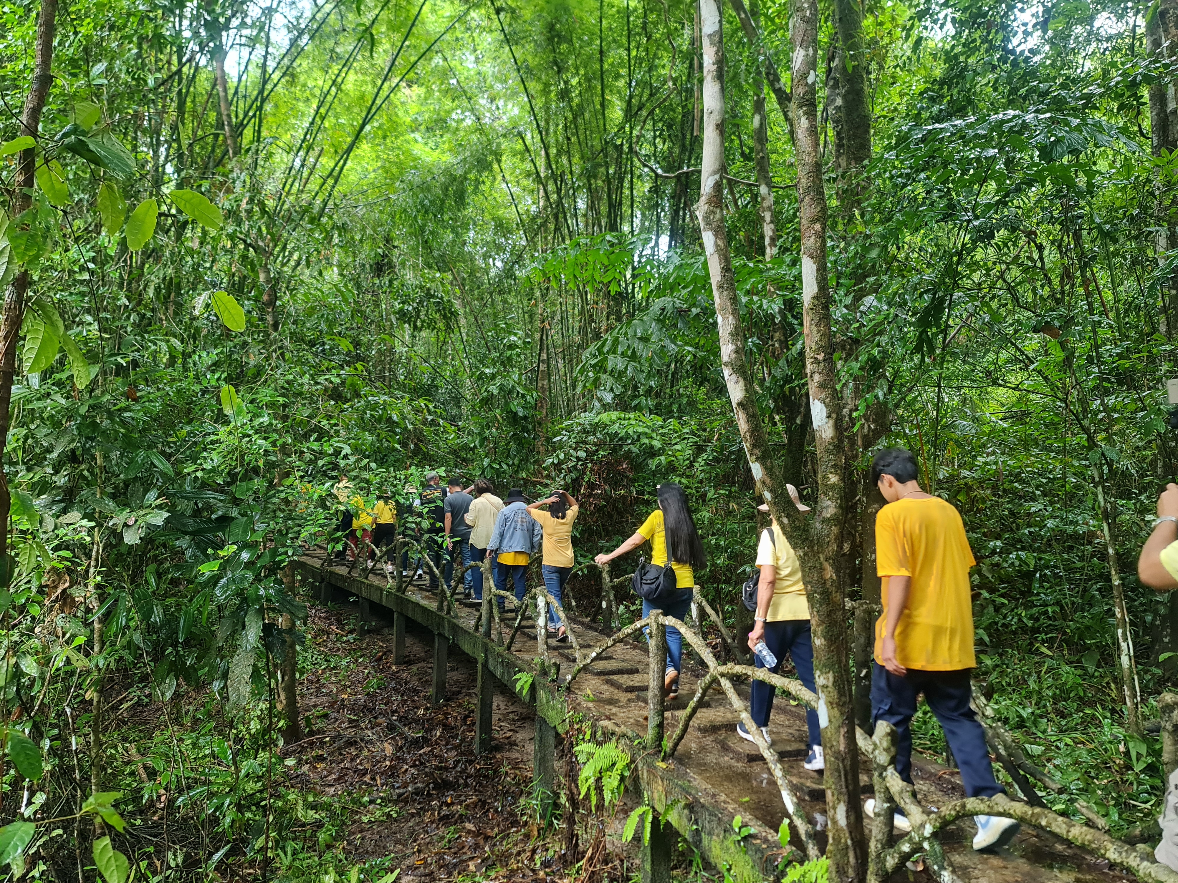 พช.ระยอง ร่วมกับ กองทุนไฟฟ้าเขตนิคมอุตสาหกรรมมาบตาพุด จัดกิจกรรมโครงการศึกษาดูงานรักษ์ป่าชุมชนบ้านทุ่งสูง กระบี่ ชุมชนบ้านเนินสำเหร่ 