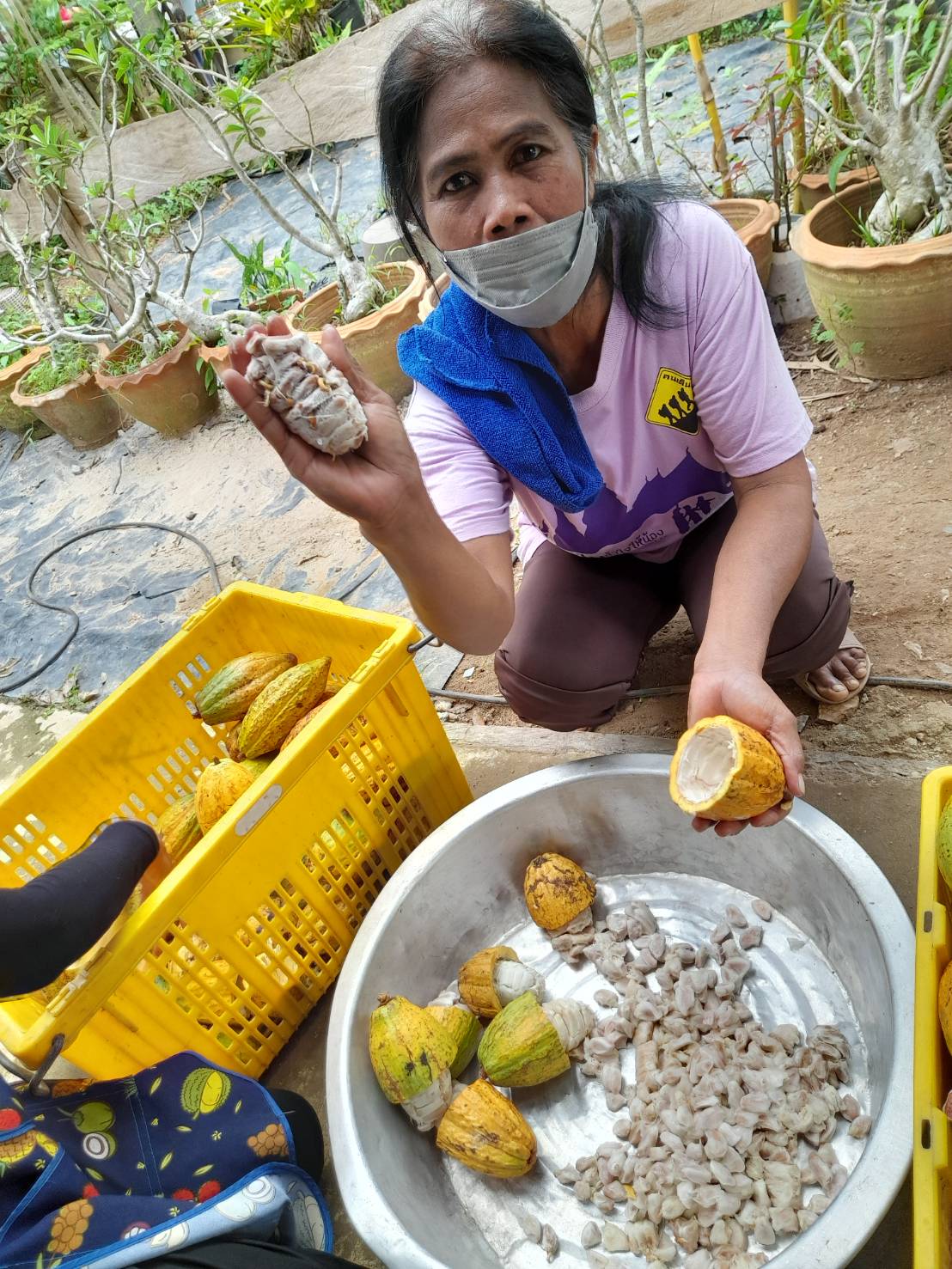 พช.ระยอง ร่วมกับ บริษัท ประชารัฐรักสามัคคีระยอง (วิสาหกิจเพื่อสังคม) จำกัด ขับเคลื่อนการดำเนินงานโครงการพัฒนาเศรษฐกิจฐานรากและประชารัฐ