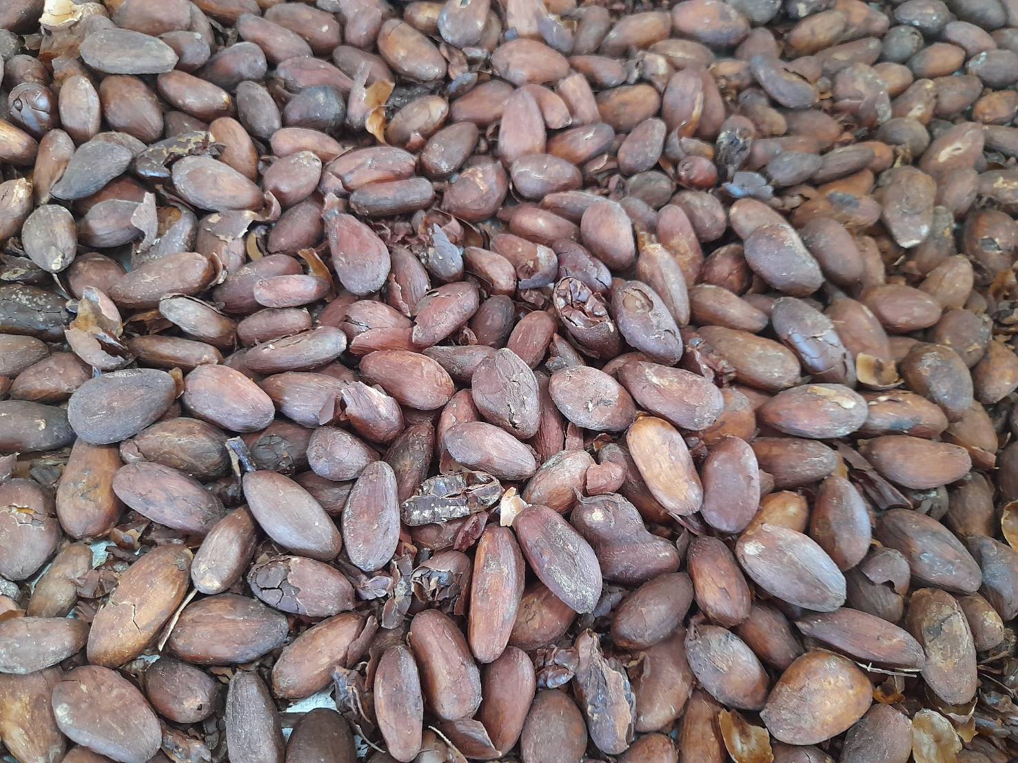 พช.ระยอง ร่วมกับ บริษัท ประชารัฐรักสามัคคีระยอง (วิสาหกิจเพื่อสังคม) จำกัด ขับเคลื่อนการดำเนินงานโครงการพัฒนาเศรษฐกิจฐานรากและประชารัฐ